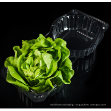 Transparent RPET or PET clamshell blister container for 1 pound salad herb lettuce packaging box